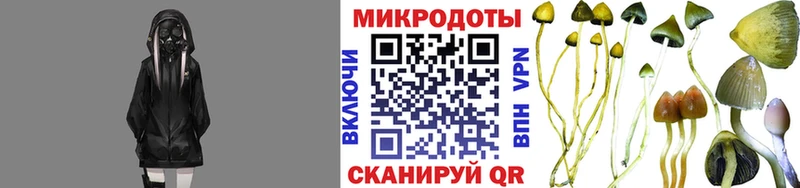 МЕГА вход  Александровск  Галлюциногенные грибы Psilocybine cubensis  купить  сайты 